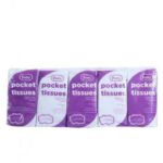 Pretty Pocket Tissues 10x