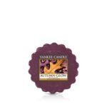 Yankee Candle Autumn Glow Melt Tart Candle