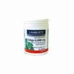 Lamberts Ginkgo Biloba, Tablets, 30 x 6000mg