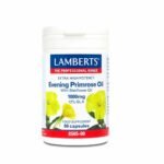 Lamberts E P O & Starflower Oil, Caps, 90 x 1000mg