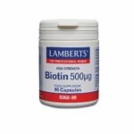 Lamberts Biotin, Caps, 90 x 500mcg