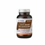Ygia Lion's Mane Mushroom