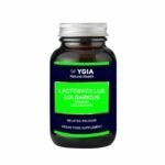 Ygia Probiotic Lactobacillus Bulgaricus 10 Billion 30 Capsules 500mg
