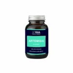 Ygia Artemisia 10:1 D R 60 Capsules 500mg